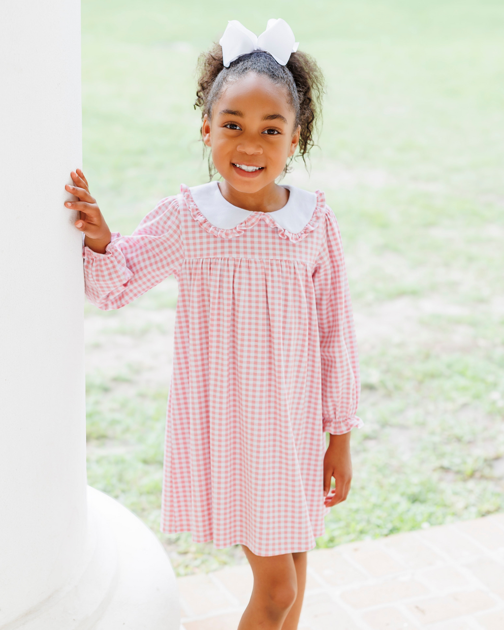Pink Gingham Ruffle Collar Dress