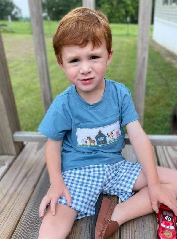 Blue Barn Farm Animal Smocked Boys Short Set